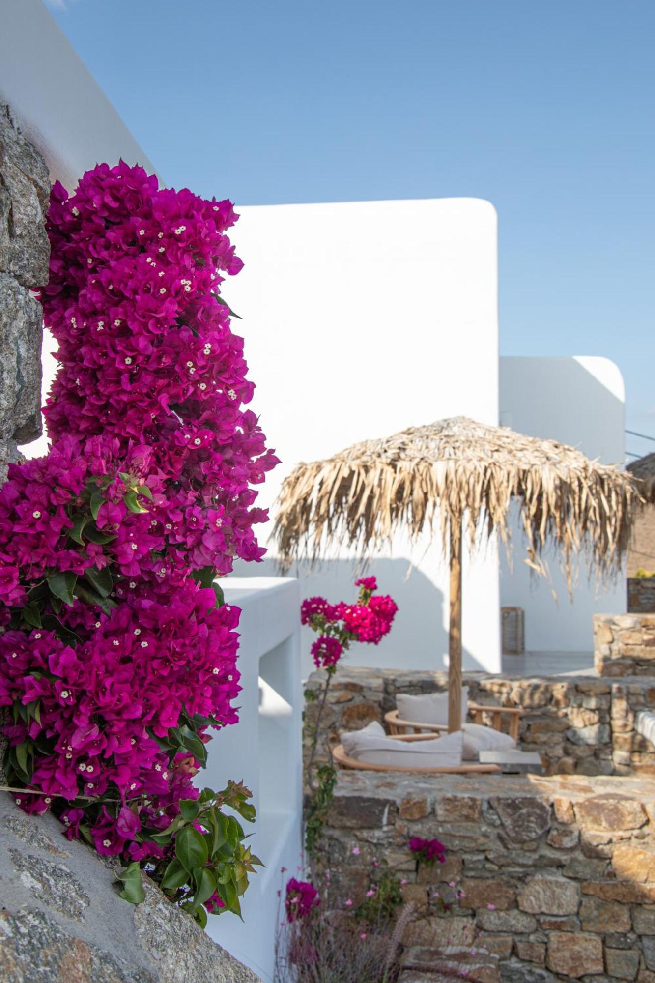 Couette-café The Summit Of Mykonos
