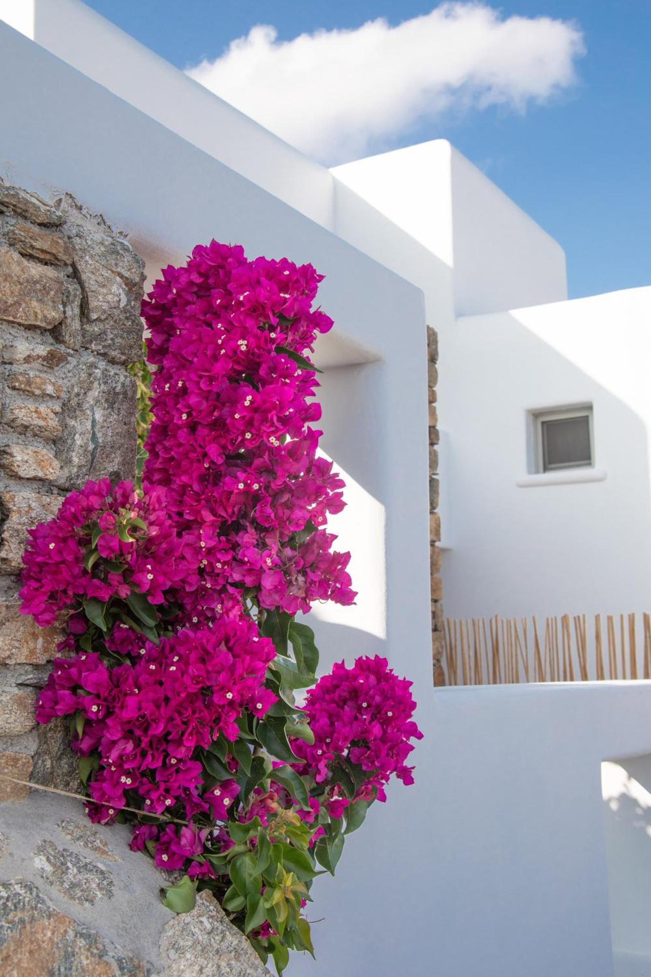 Bed & Breakfast The Summit Of Mykonos 4*